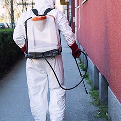 Controle de Pragas para Empresas
