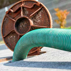 Dedetização Residencial